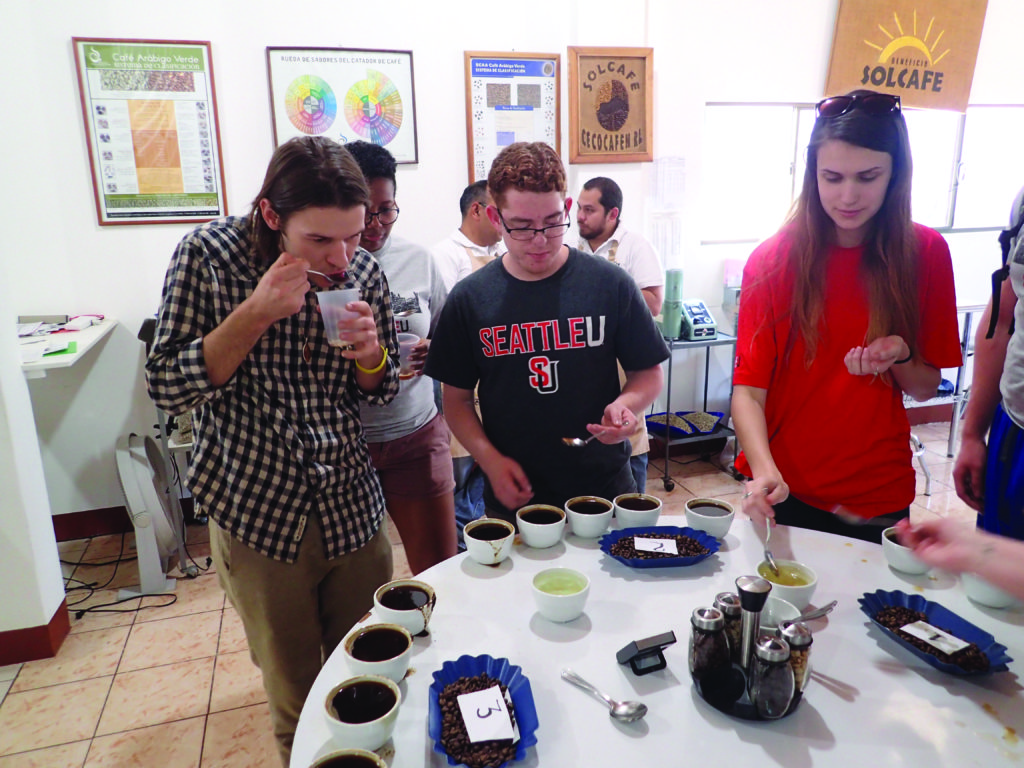 PHOTO COURTESY OF CAFÉ AMBIENTAL