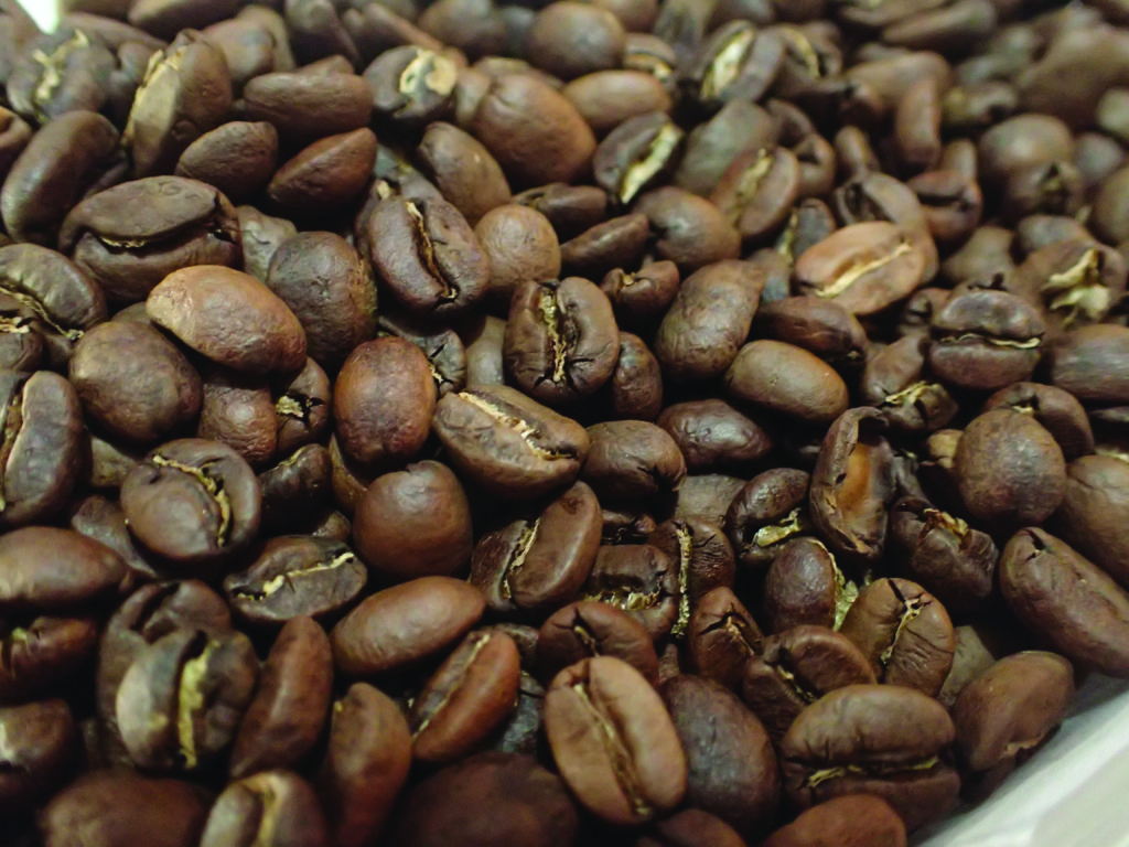PHOTO COURTESY OF CAFÉ AMBIENTAL